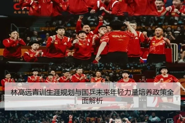 林高远青训生涯规划与国乒未来年轻力量培养政策全面解析